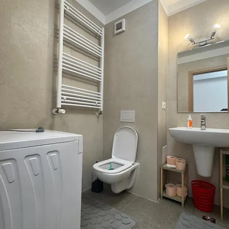 Comfortable In Coresi Area Braşov